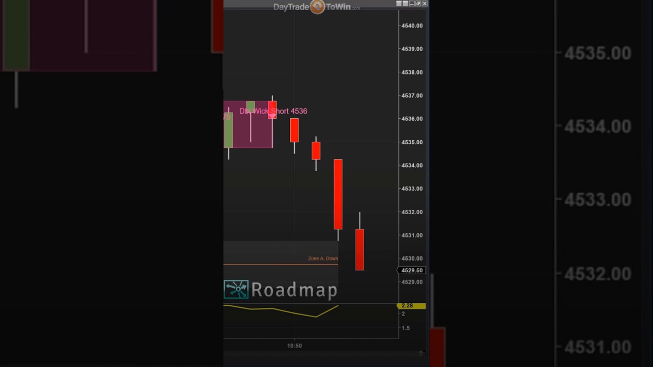 Counter-Trend-Trading-with-Roadmap-Software-stockmarket-trading-daytradetowin