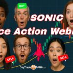 Live Price Action System Reviewed –  For Serious Traders Ninja Trader and TradingView