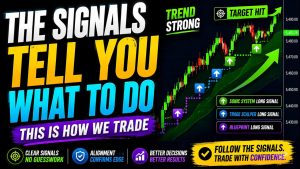 The Signals Tell You What To Do – Day Trade To Win @daytradetowin