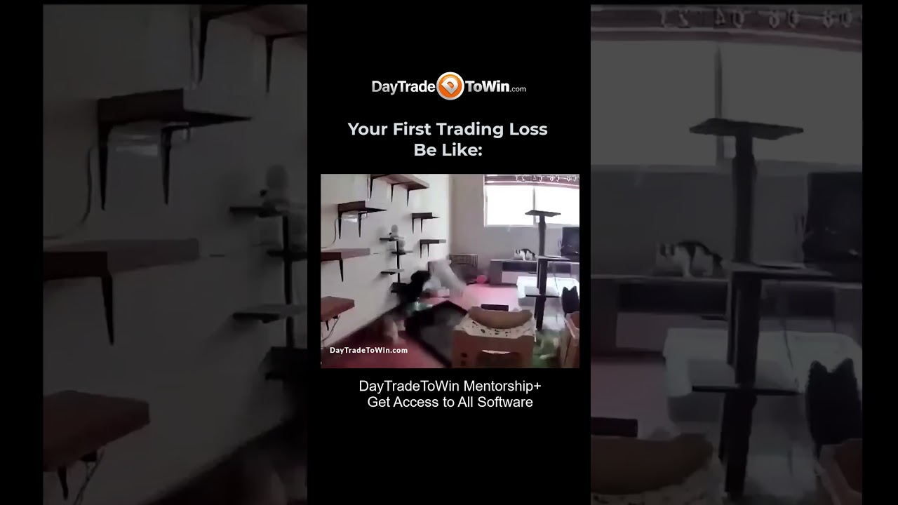 New-Trader-First-Trading-Loss-Be-Like