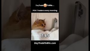 Trader's Every Morning be  Checking The Charts
